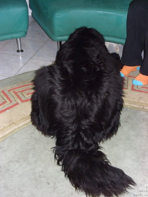 Фотография № 56371