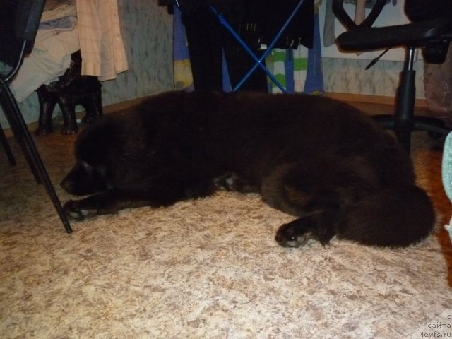 Фотография № 56374