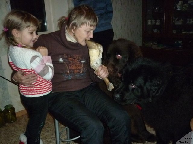 Фотография № 56379