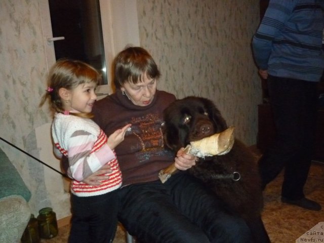 Фотография № 56380