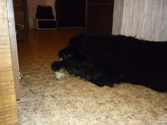 Фотография № 56382