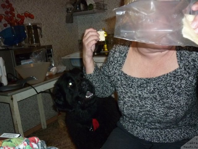 Фотография № 56387