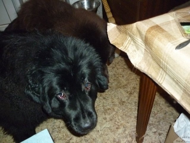 Фотография № 56391