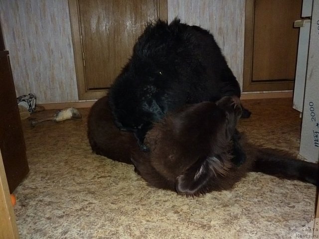 Фотография № 56398