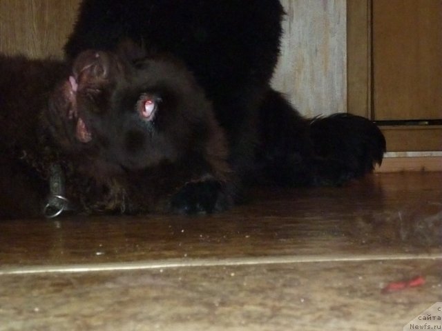 Фотография № 56399