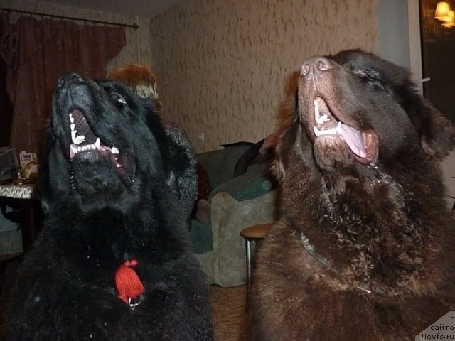 Фотография № 56406