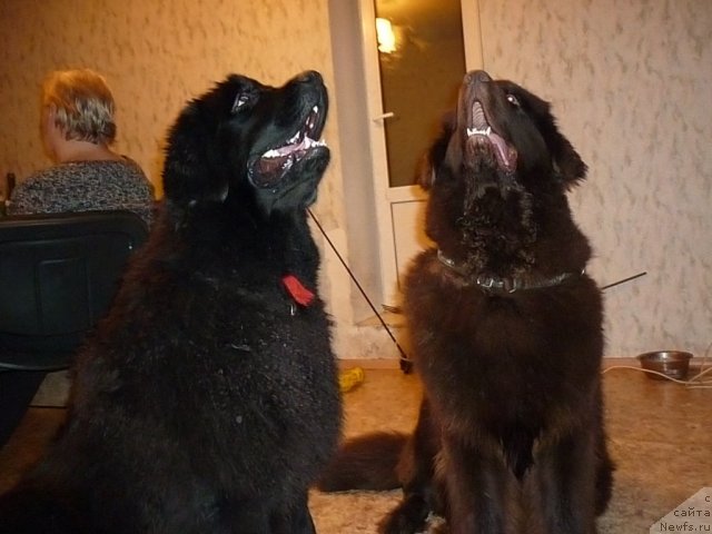 Фотография № 56407