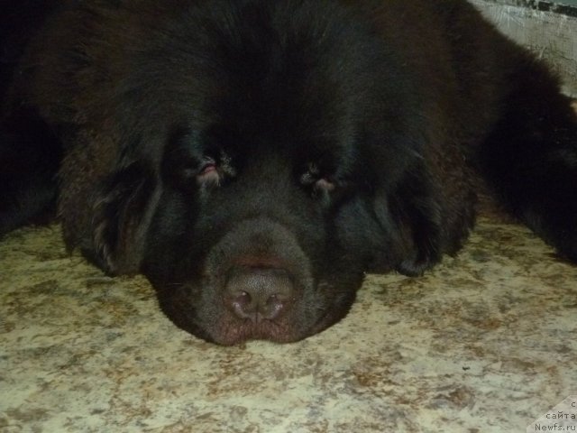 Фотография № 56414