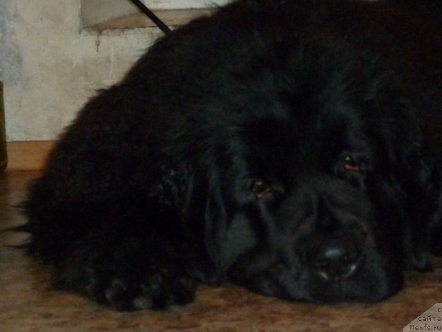 Фотография № 56416