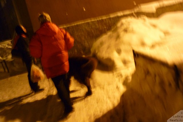 Фотография № 56487