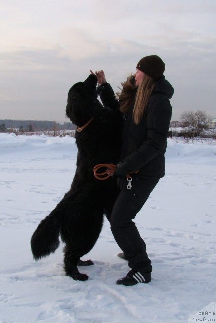 Фото: Супер Бизон Дека, Алёна Щелконогова