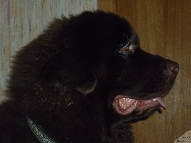 Фотография № 56532