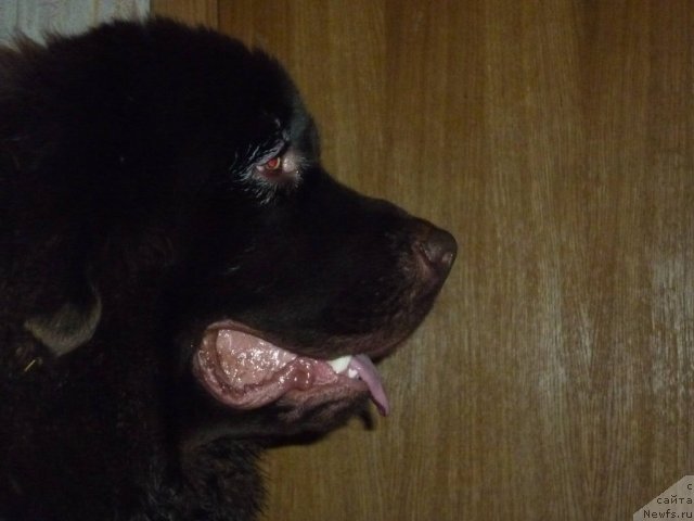 Фотография № 56533