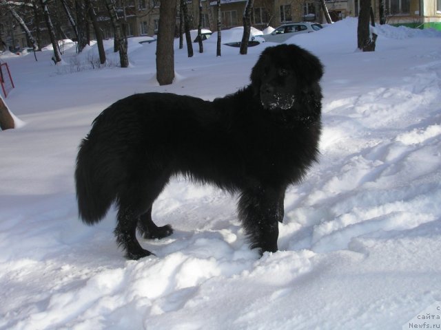 Фото: Nadejda Savchikova (Надежда Савчикова)