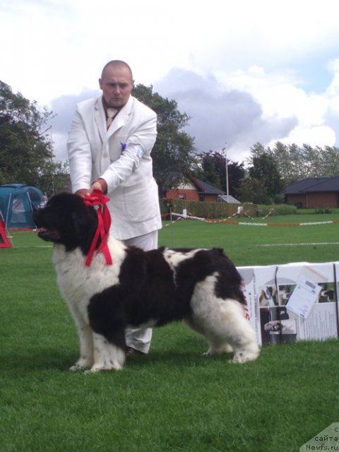 Фотография № 56586