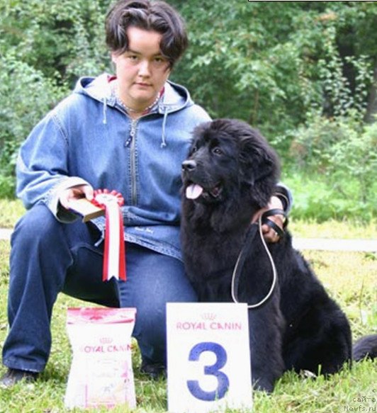 Фотография № 56589