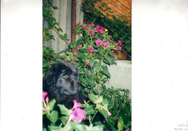 Фотография № 5666