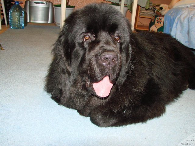 Фотография № 56706