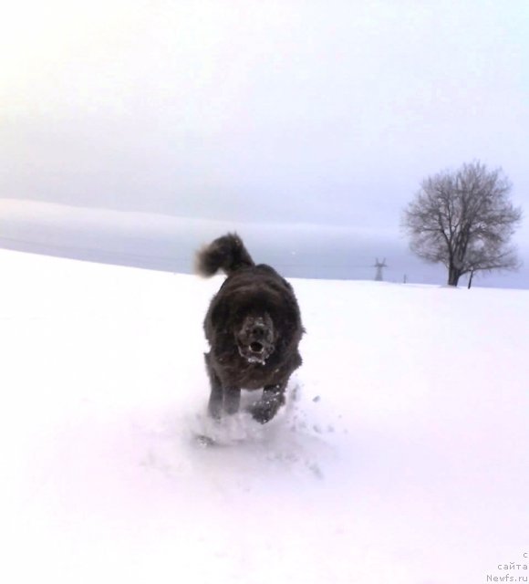 Фото: Данчик