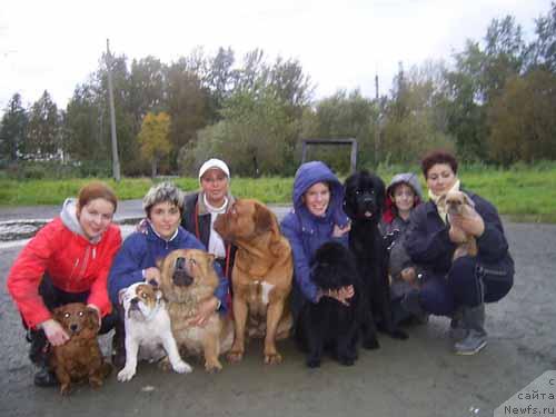 Фото: ньюфаундленд Arh B'yuti Oksi Svet (Арх Бьюти Окси Свет), ньюфаундленд Charuyuschaya Noch ot Marleon Dusvik (Чарующая Ночь от Марлеон Дусвик), Anastasiya Mischenko (Анастасия Мищенко)