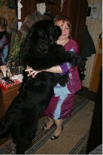 Фотография № 56769