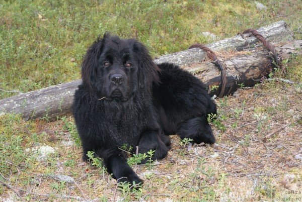 Фотография № 56772