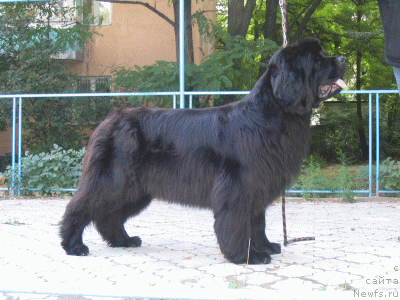 Фотография № 568