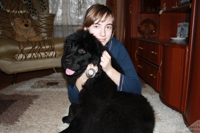 Фото: Черный Шарм Бэтмен