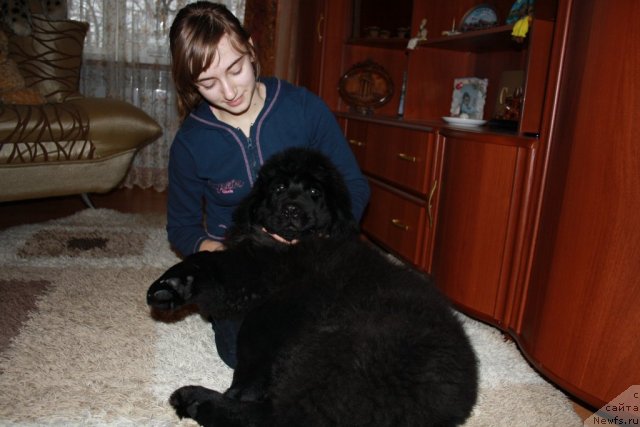 Фото: Черный Шарм Бэтмен