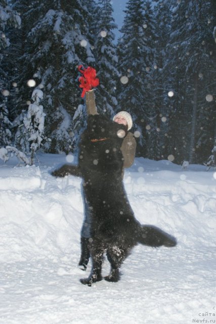 Фотография № 56819