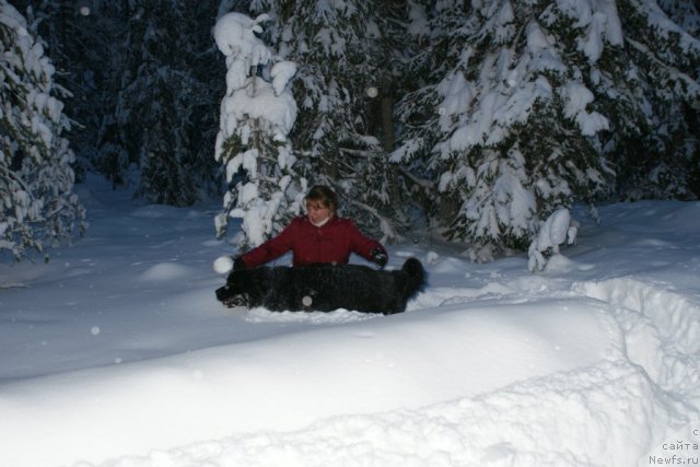 Фотография № 56820