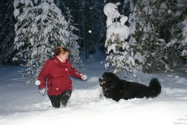 Фотография № 56823