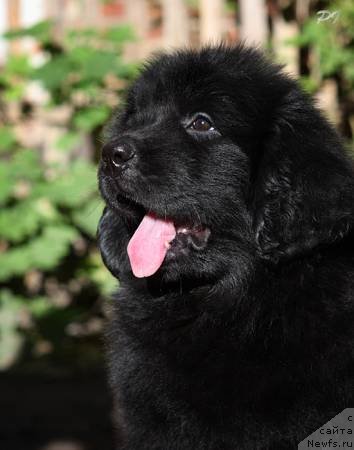 Фото: Tat'yana Gafarova (Татьяна Гафарова)