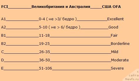 Фотография № 56853