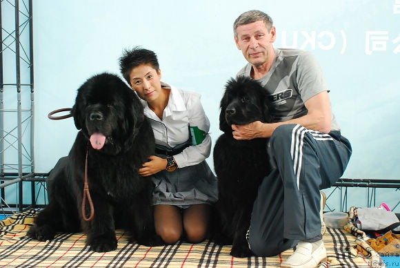 Фотография № 56856