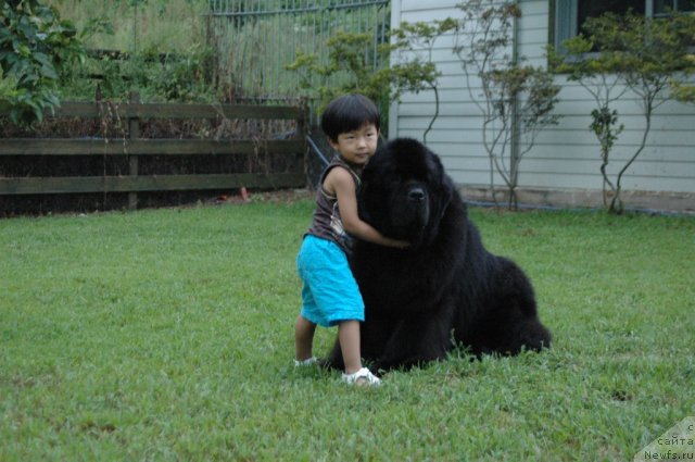 Фотография № 56857