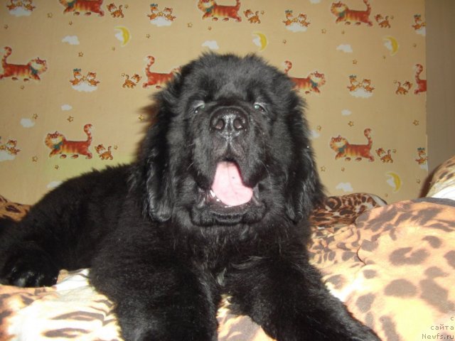 Фотография № 56899