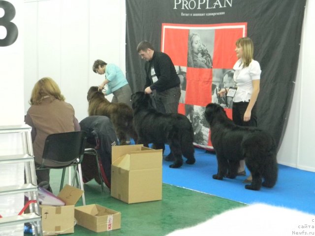 Фотография № 56931