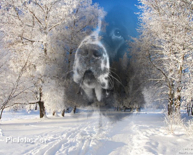 Фотография № 56964