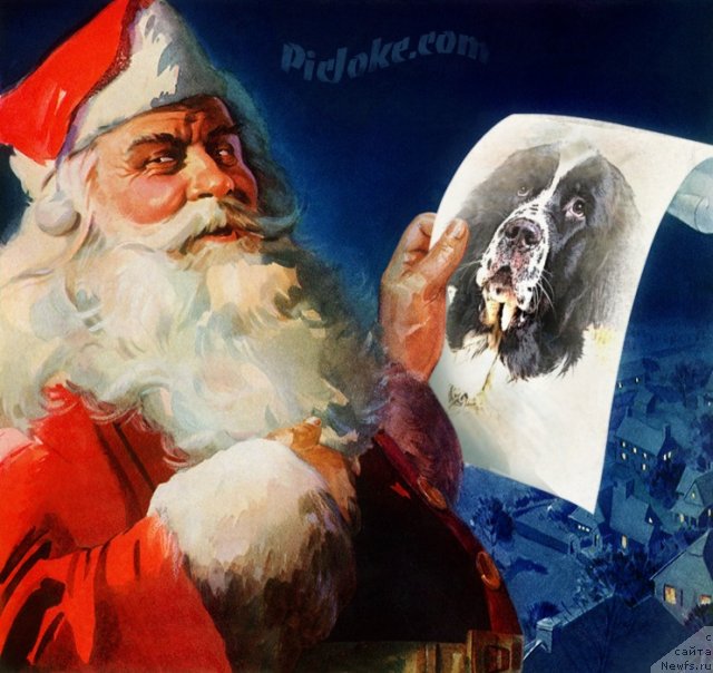 Фотография № 56967