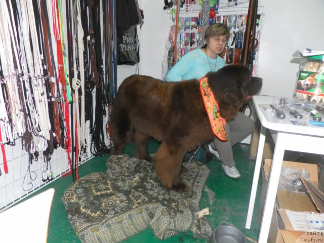 Фотография № 57062