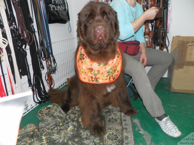 Фотография № 57063