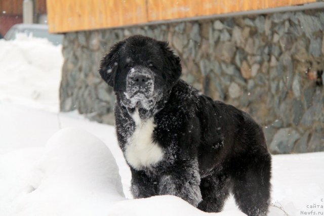 Фотография № 57064