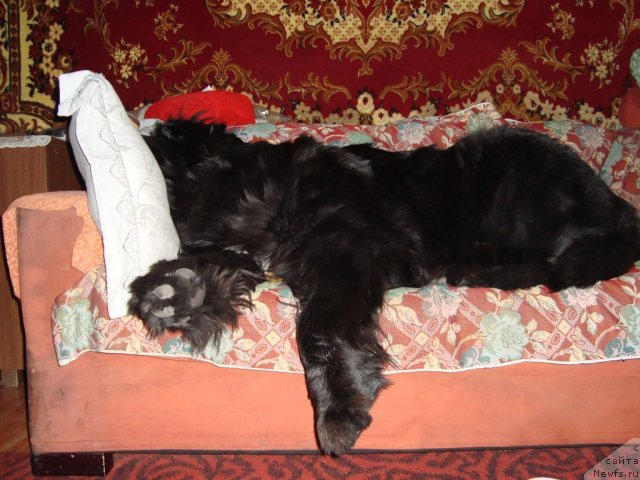 Фото: Elena Matyushkova (Елена Матюшкова)