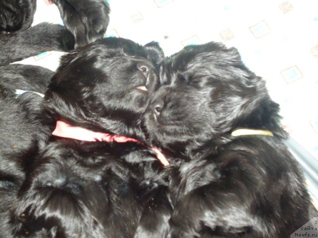 Фото: уютная долина