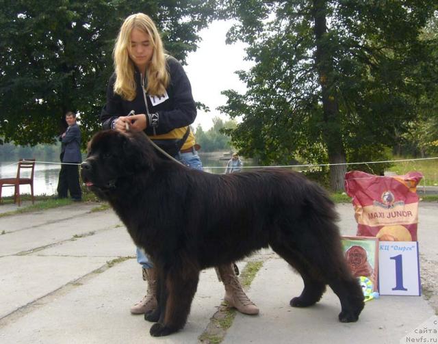 Фотография № 5723