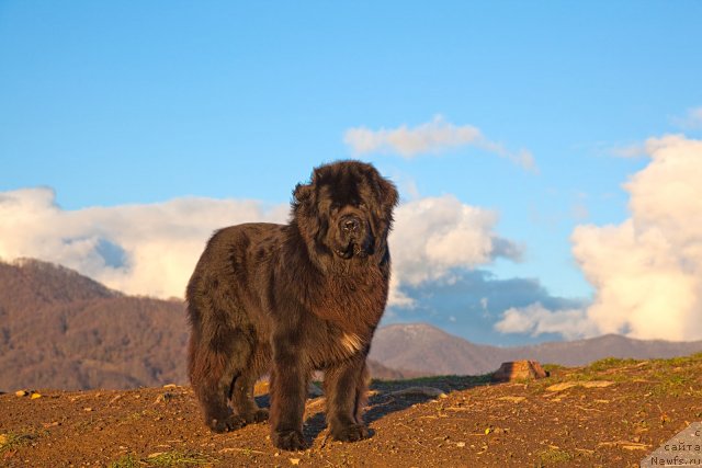 Фотография № 57240