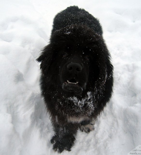 Фотография № 57252