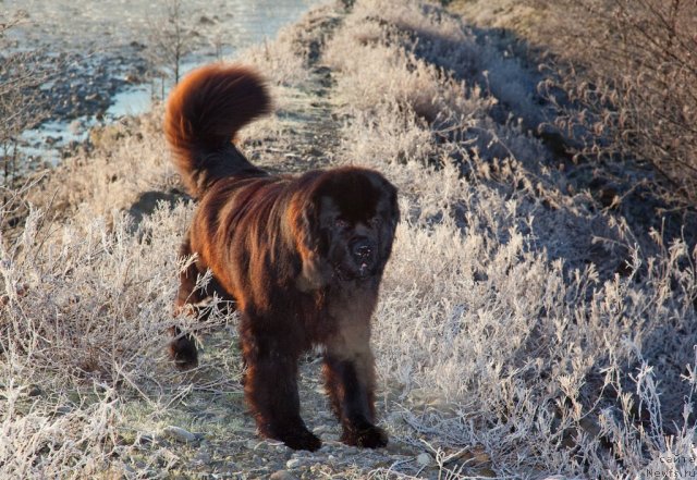 Фотография № 57256