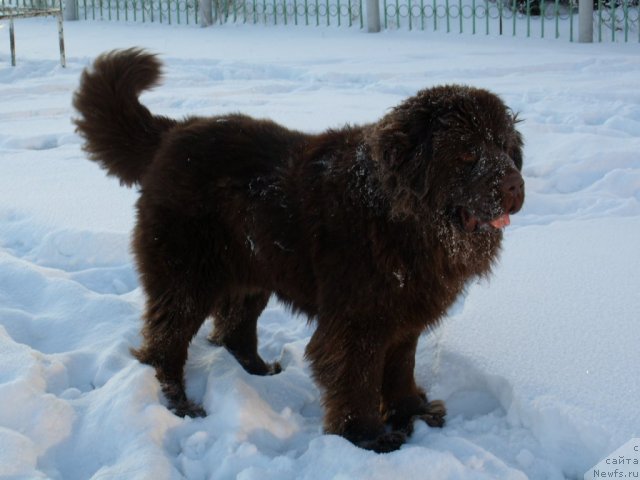 Фотография № 57304